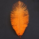 per-225 Перья страусиные (оранжевого цвета)