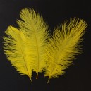 per-28 Перья страусиные (желтые)
