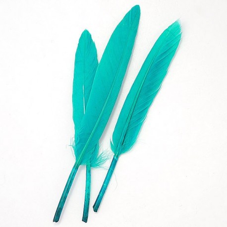 per-219 Пір'я блакитне (гусяче)