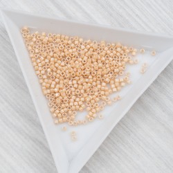 Бісер японський MIYUKI Delica, № 11 - 205 (2г)