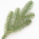 Гілка ялинки (5 лапок) 