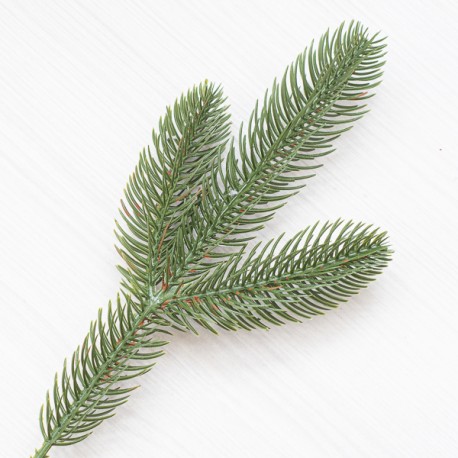 Гілка ялинки (3 лапки) 