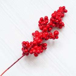 Гілочка з червоними ягідками
