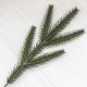Гілка ялинки (5 лапок)