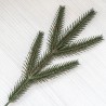 Гілка ялинки (5 лапок)