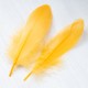 per-0164 Пір'я (жовтий)