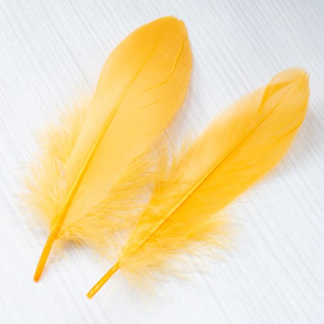 per-0164 Пір'я (жовтий)