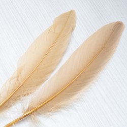 per-0164 Пір'я (сіро-коричневий)